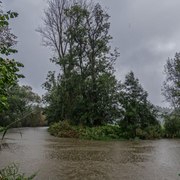 2014     jagst regen 2 2337030b