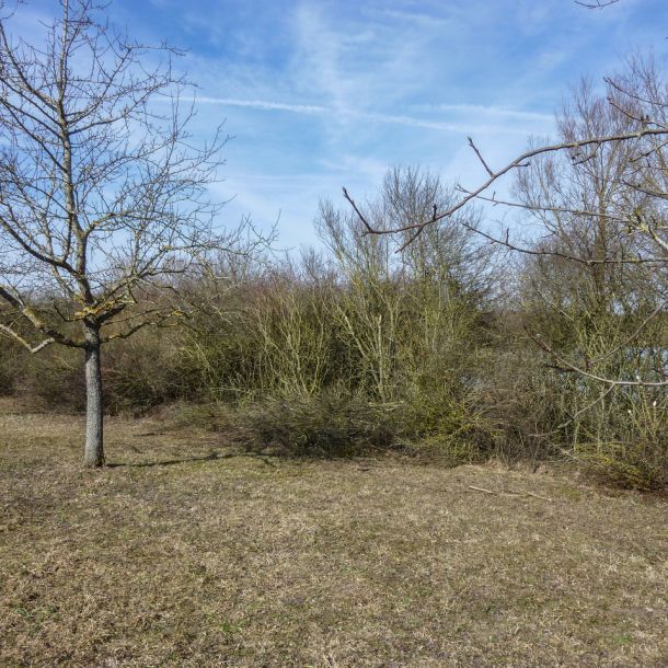 20150308 loeffelstelzweiher im fruehjahr 1 8a8594a5