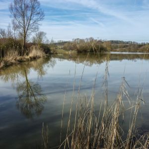 20150308 loeffelstelzweiher im fruehjahr 2 112771f5