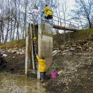 20150404 anstau nach sanierung tiefenseemoench 21 b02171a1