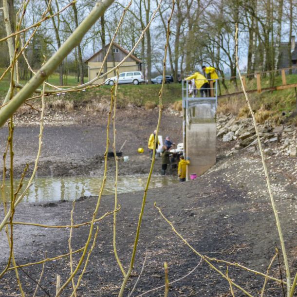 20150404 anstau nach sanierung tiefenseemoench 22 54e82610