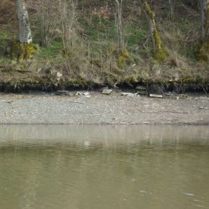 20150406 anstau nach sanierung tiefenseemoench 27 20ab0929