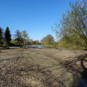 20150419 anstau nach sanierung tiefenseemoench 47 ae8f77ea