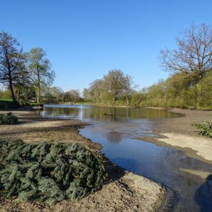 20150419 anstau nach sanierung tiefenseemoench 50 2bded1aa