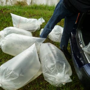 20150501 kleinfischbesatz nach sanierung 2 0460d66d