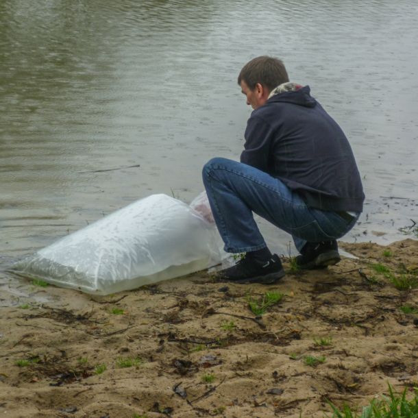 20150501 kleinfischbesatz nach sanierung 4 d2a9b50c