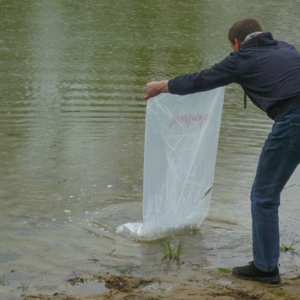20150501 kleinfischbesatz nach sanierung 5 e7c665ff