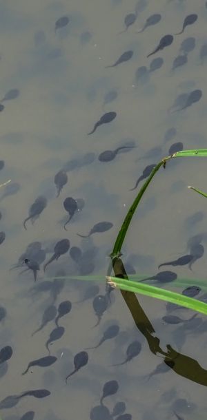 20150524 anfischen tiefensee 26 a9d621cd