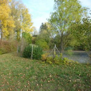 20151023 sanierung krebslache 17 adff853b