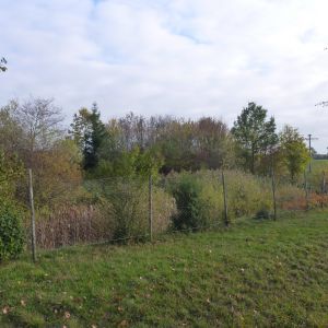 20151023 sanierung krebslache 18 bfe6c034