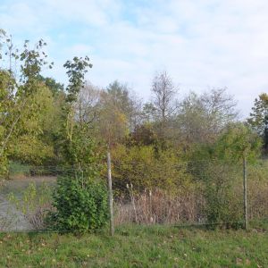 20151023 sanierung krebslache 19 2d63a0e7
