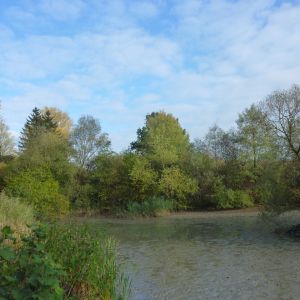 20151023 sanierung krebslache 20 a8cc7d77