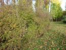20151023 sanierung krebslache 23 fd4f0dad