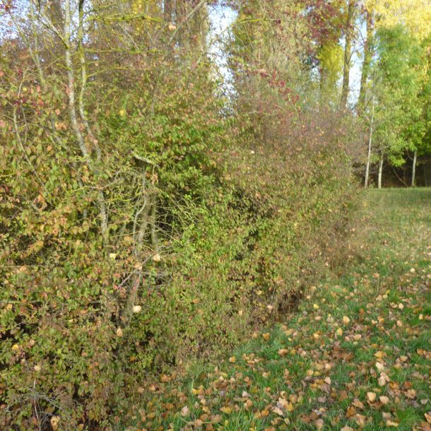 20151023 sanierung krebslache 23 fd4f0dad