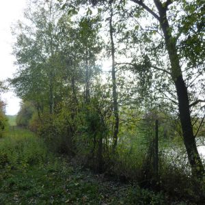 20151023 sanierung krebslache 29 c2d899af