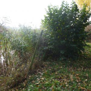 20151023 sanierung krebslache 31 0cb2a6db