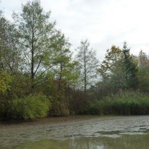 20151023 sanierung krebslache 33 9885fd4f