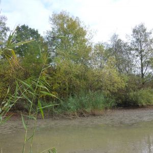 20151023 sanierung krebslache 34 e7a41a7a