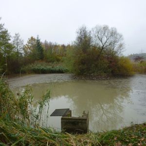 20151024 sanierung krebslache 36 a33f13a3