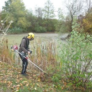 20151024 sanierung krebslache 37 a521a521