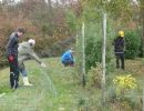 20151024 sanierung krebslache 41 23a85c75