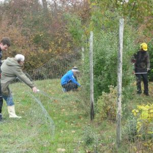 20151024 sanierung krebslache 41 23a85c75