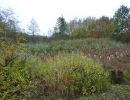 20151024 sanierung krebslache 43 327c157a