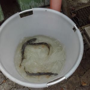 20151113 herbstbesatz 11 3d2ebfcb