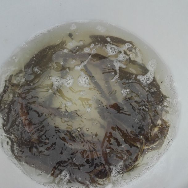 20151113 herbstbesatz 13 e7919970