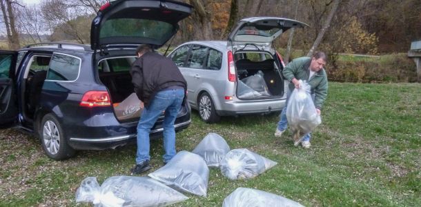 20151113 herbstbesatz 18 d80cdf82