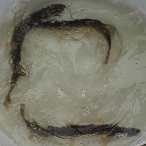 20151113 herbstbesatz 19 9ede82ab