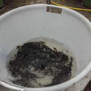 20151113 herbstbesatz 2 85efb1c9