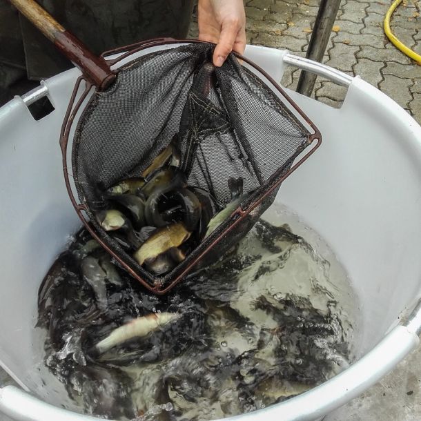 20151113 herbstbesatz 4 be046e05