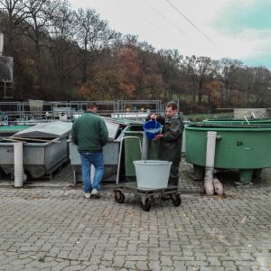 20151113 herbstbesatz 5 455bb0c4