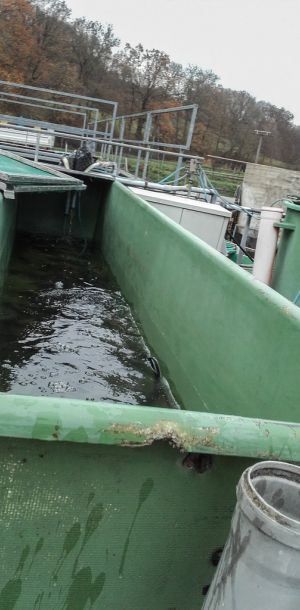 20151113 herbstbesatz 6 b7969f2b