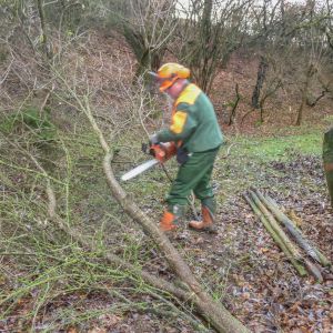 Arbeitseinsatz Sanierung Krebslache 21.11.2015 