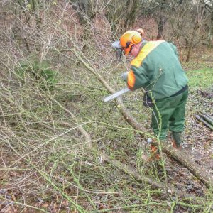 20151121 arbeitseinsatz sanierung krebslache 3 00ce6106
