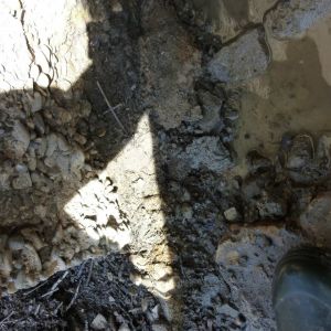 2015     sanierung tiefenseemoench 5 a1ee3229