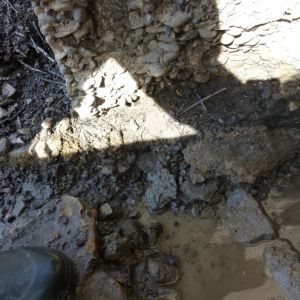 20160116 sanierung tiefenseemoench schaeden 4 97d56f53