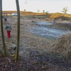 20160130 arbeitseinsatz sanierung krebslache 2 74841a20