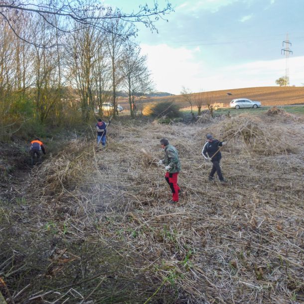 20160130 arbeitseinsatz sanierung krebslache 3 0673f21d