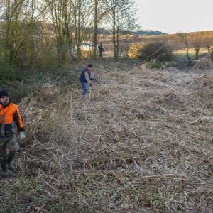 20160130 arbeitseinsatz sanierung krebslache 4 96aa512f