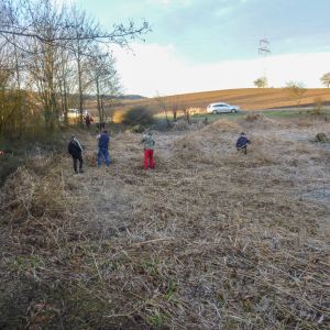20160130 arbeitseinsatz sanierung krebslache 5 31bb5685