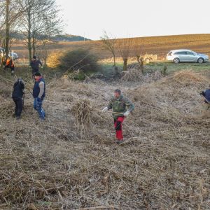 20160130 sanierung krebslache 1 a7f1ea1c