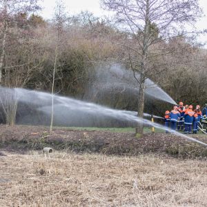 20160206 abbrennen reisig schilf jugendfeuerwehr krebslache 15 9b13bfd4