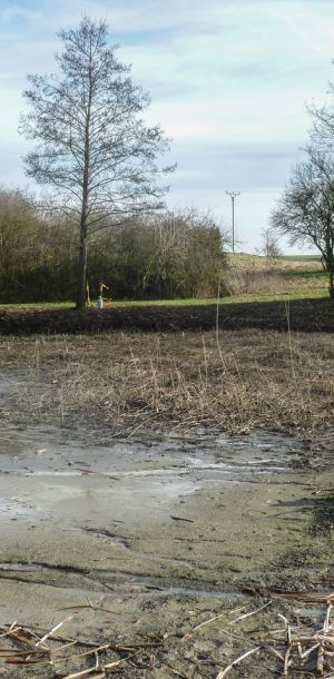 20160206 abbrennen reisig schilf jugendfeuerwehr krebslache 25 d31c6ab5