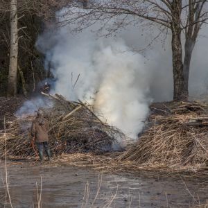 20160206 abbrennen reisig schilf jugendfeuerwehr krebslache 6 9cc6e5b0