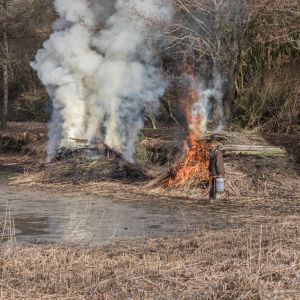 20160206 abbrennen reisig schilf jugendfeuerwehr krebslache 8 7cd08772