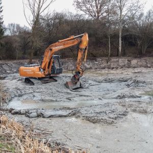 20160216 baggereinsatz sanierung krebslache 11 053bb206