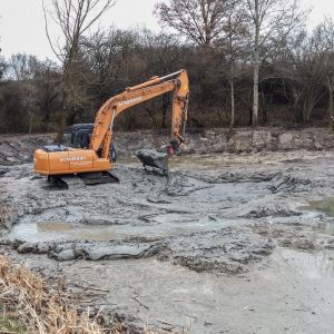20160216 baggereinsatz sanierung krebslache 12 9ad154db